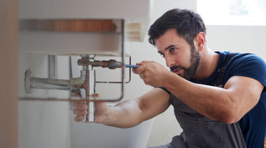 Trap Repair/Replacement in Holton, MI